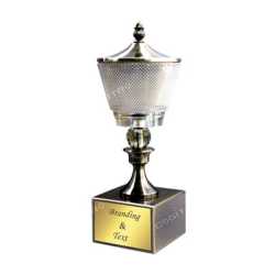 Crystal Trophy 69