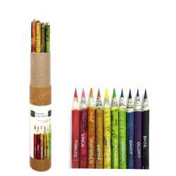Plantable Coloring Pencil ( 10pc )