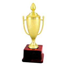 Gold Cup Sports Trophy