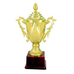Golden Sports Cup Trophy