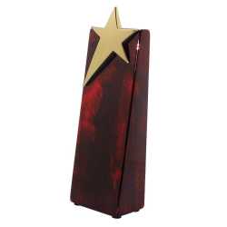 Gold/Silver Star Piano Finish Trophy Small